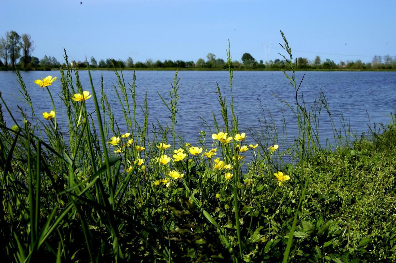 Villa Peschiera Gazzo  المظهر الخارجي الصورة